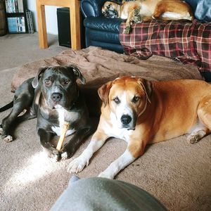 Meet your Posher, Julie